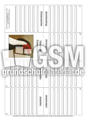 Faltbuch-Silberfasan.pdf